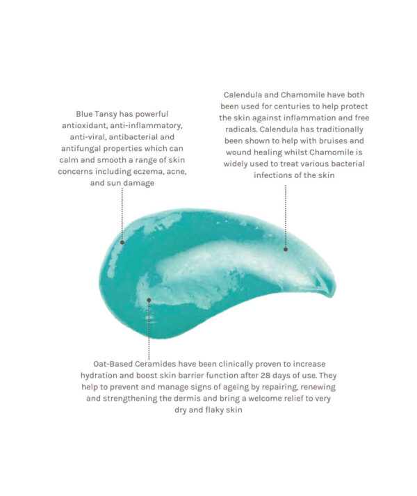 Evolve Blue Tansy Beauty Balm - Image 3